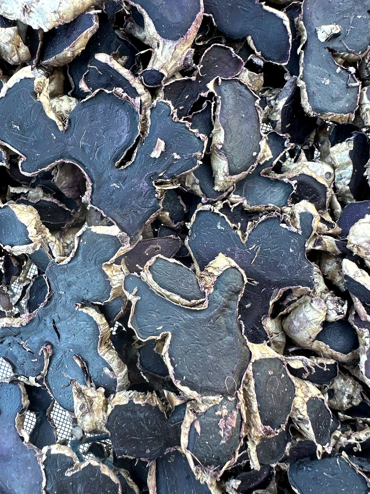 Dried slices, purple turned almost black