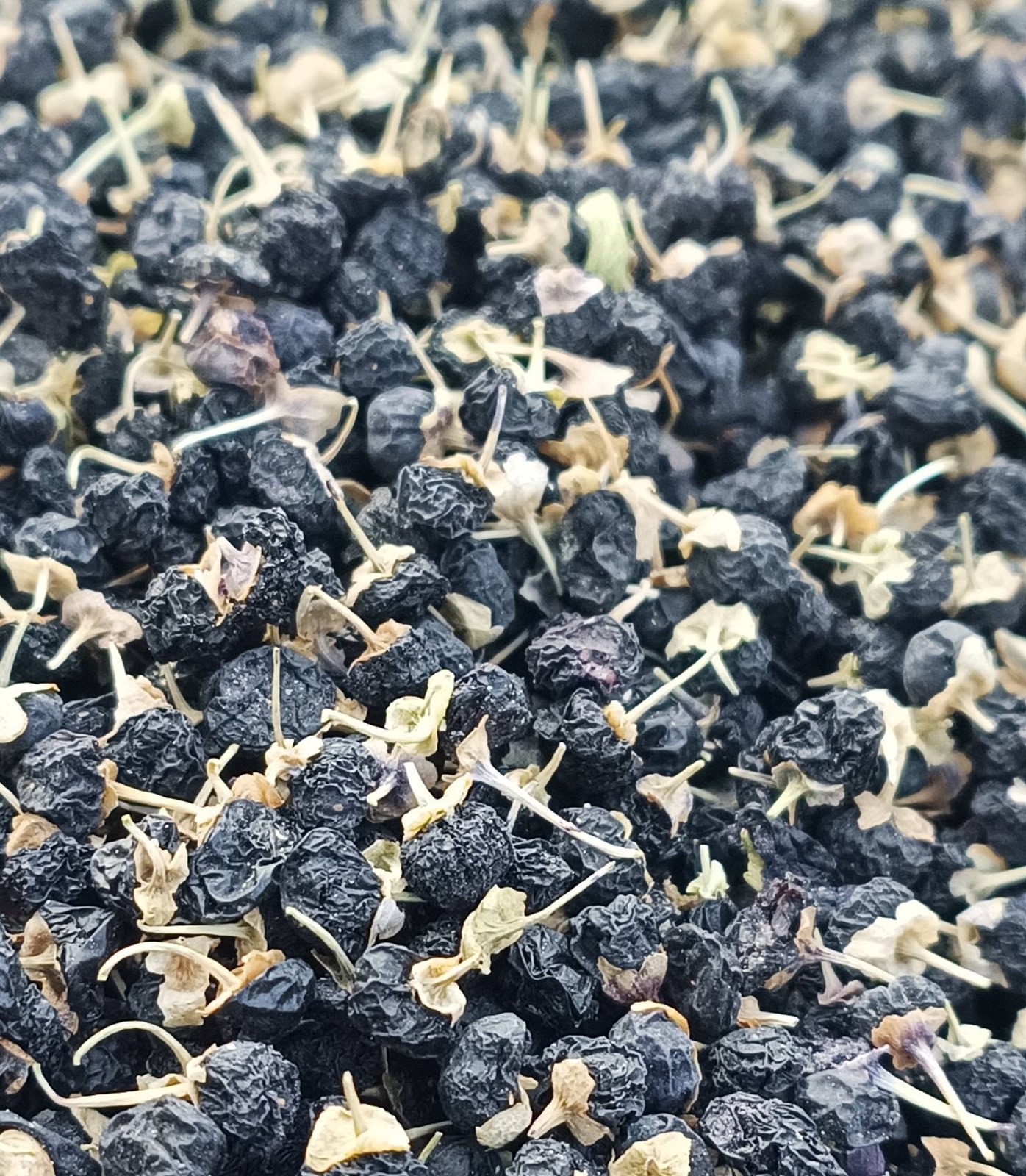 Close up: wrinkled, purple-black skins