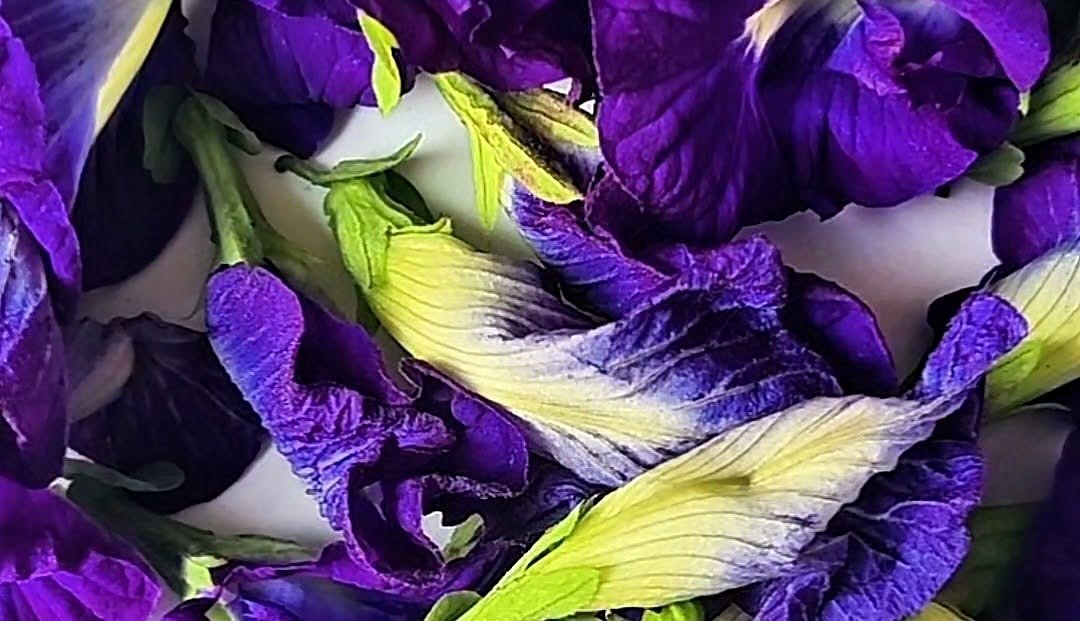 Freshly picked flowers