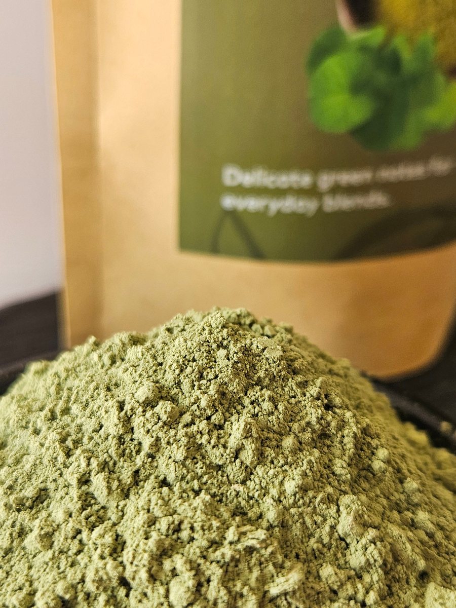 Close-up of finely milled gotu kola leaf powder