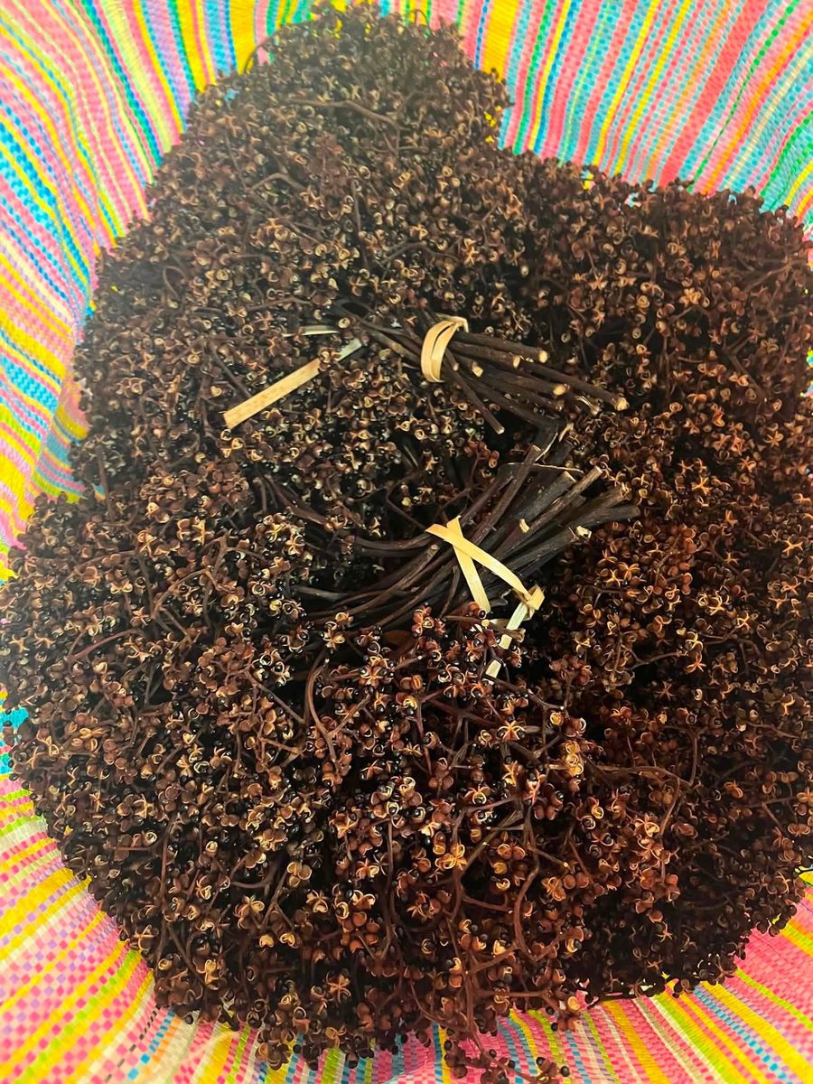 Dried makhwaen clusters tied together in bundles