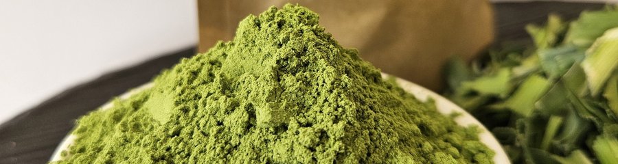 Close-up of green pandan leaf powder with cut dried leaves