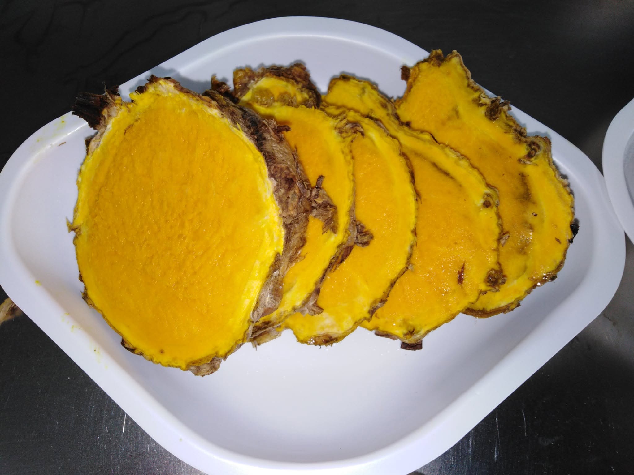 Wild Turmeric